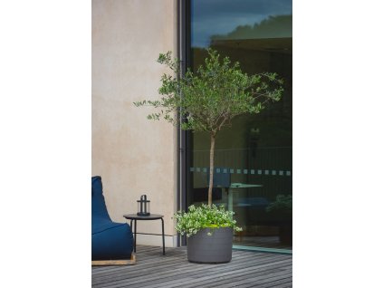 BERBERIS velkoobjemova nadoba 55 Antracit Slonovina 3