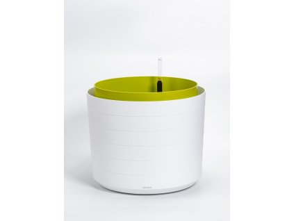BERBERIS velkoobjemova nadoba 55 Bila Zelena 1