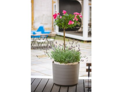 BERBERIS velkoobjemova nadoba 55 Taupe Slonovina 3