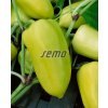 2501 semo zelenina paprika rocni pcr2 624x778
