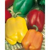 2540 semo zelenina paprika rocni smes barev zeleninova2 600x753