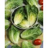 3894 semo zelenina salat rimsky little gem 2 600x751