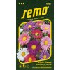 9099 semo kvetiny letnicky astra cinska andrella super mix