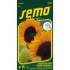 9282 semo kvetiny letnicky slunecnice rocni sunrich orange