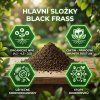 Black Frass Složky
