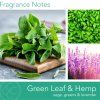 Svíčka Green Leaf Hemp