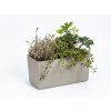 Samozavlažovací truhlík BERBERIS