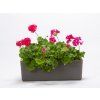 Samozavlažovací truhlík BERBERIS 40 cm antracit + zelená