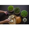 Klíčící miska MICROGREENS