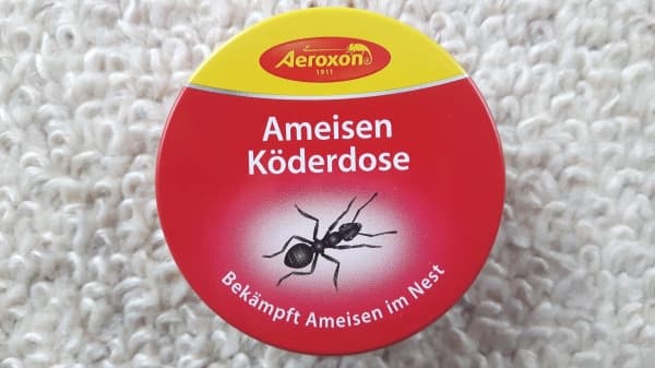 Най-ефективната стръв за мравки - къща