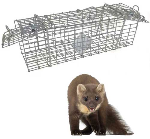 уникален капан за белка