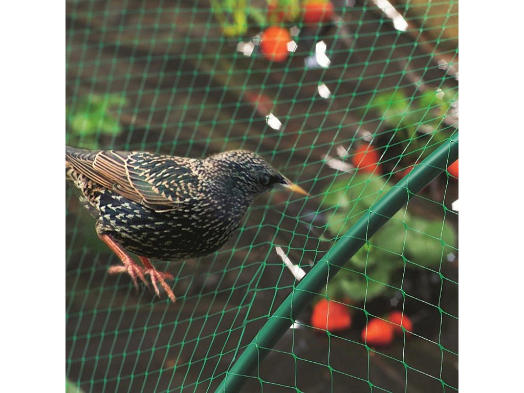 гарван-символ