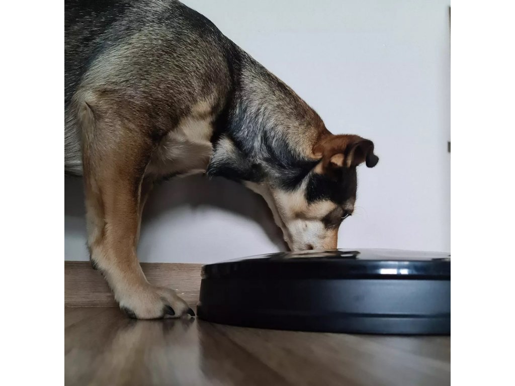  уникална-тоалетна-за-кучета 