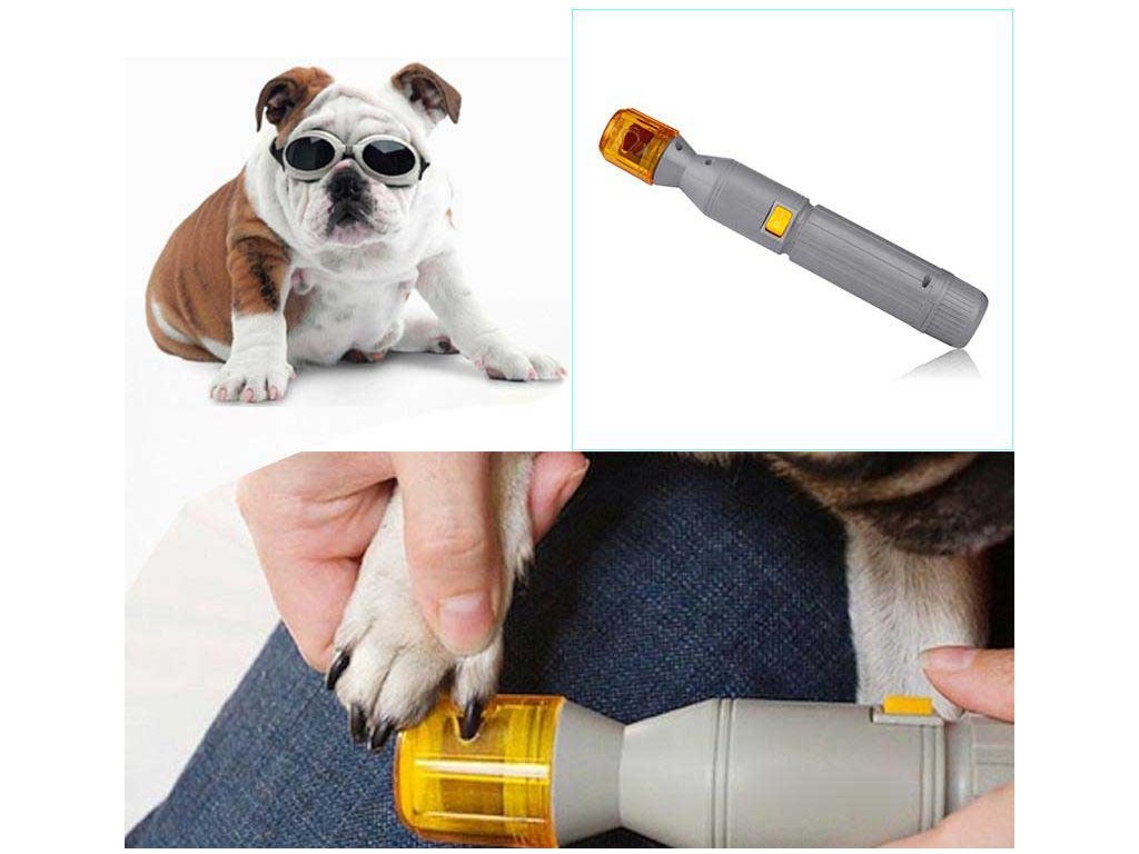  уникална-тоалетна-за-кучета 