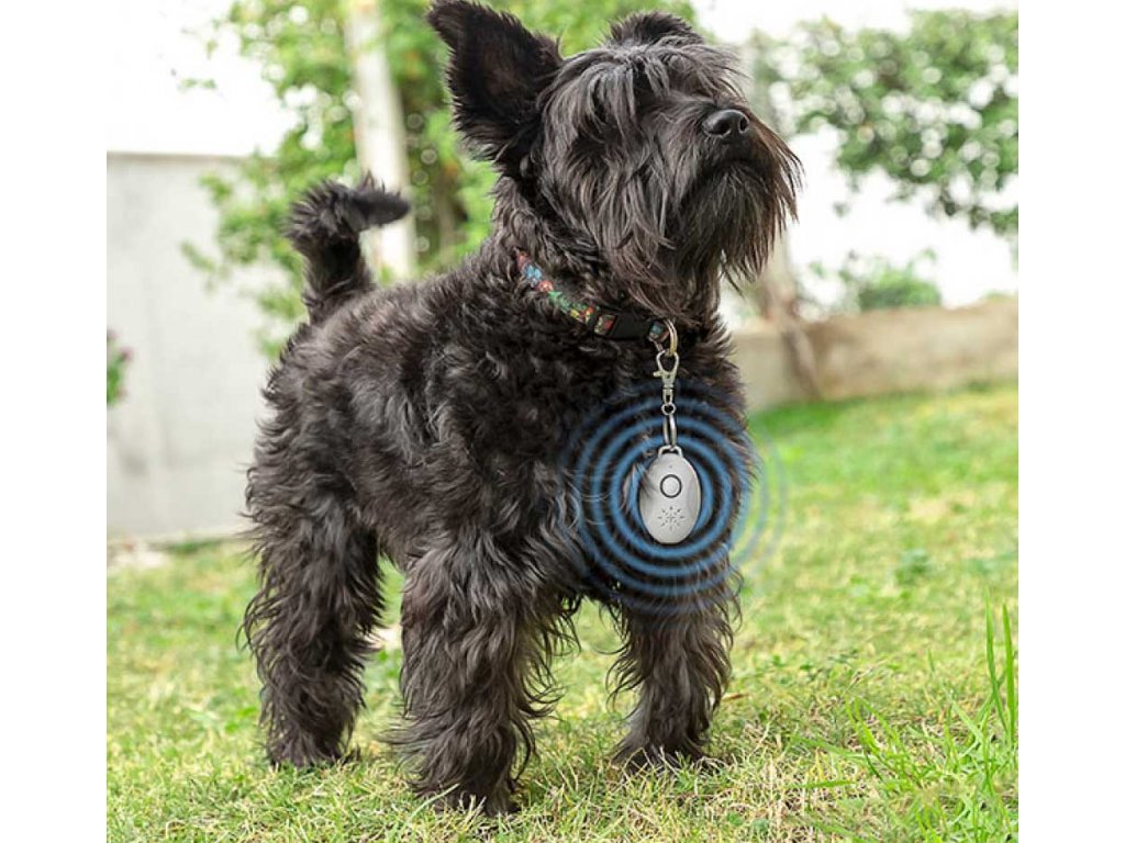 нашийник против лай