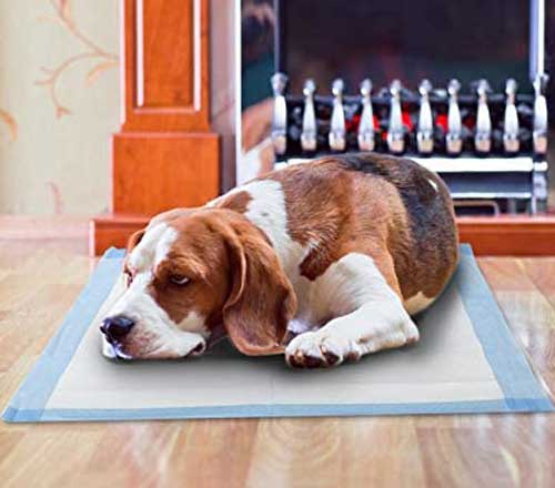 хигиенни-абсорбиращи-подложки-за-кучета