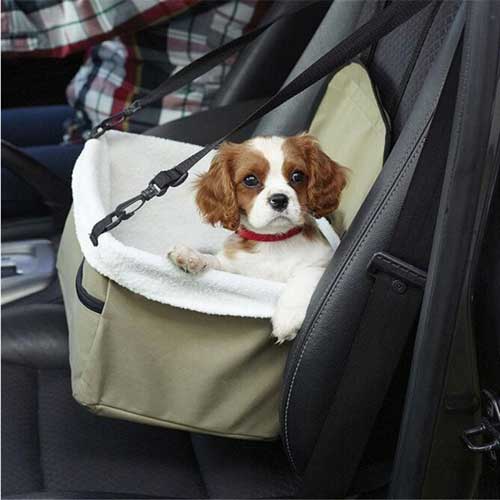 столче-за-кучета-надеждно