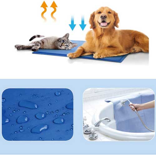 охлаждаща-подложка-за-кучета-уникална