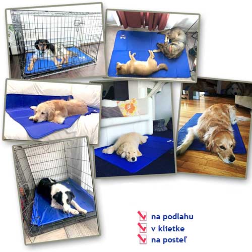 охлаждаща-подложка-за-кучета-уникална