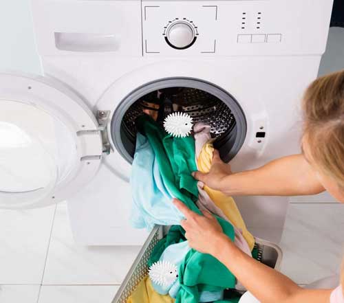 ballotic-do-susicky-unique