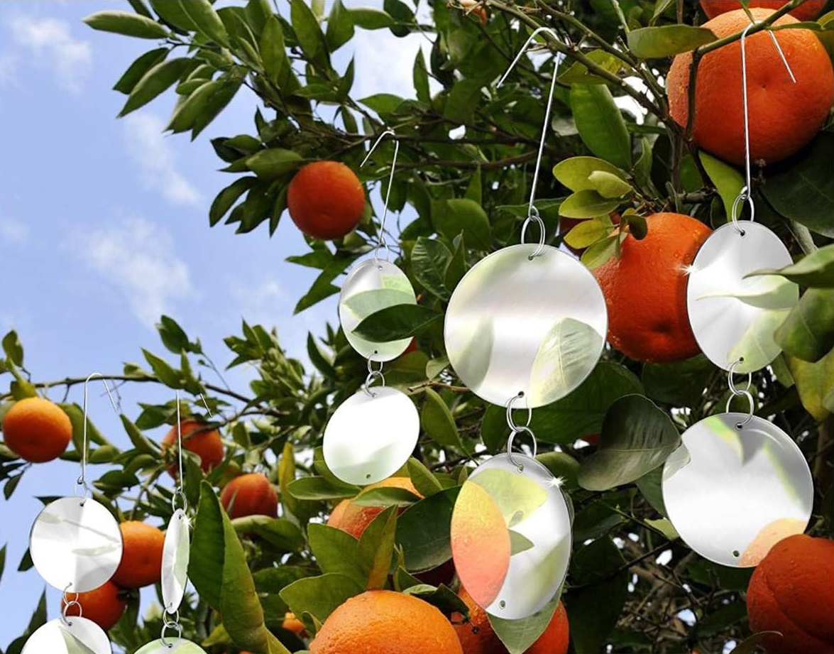 Холографско устройство за прогонване на птици