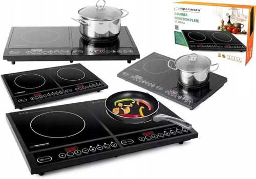 уникална двойна плоча