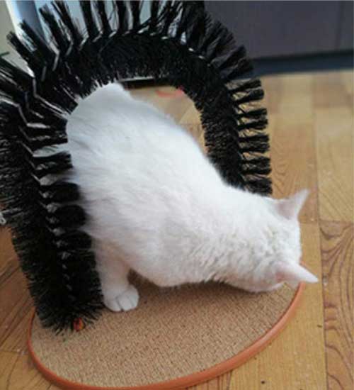масажна четка за котки