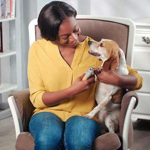 уникални щипки-за-котки-и-кучета