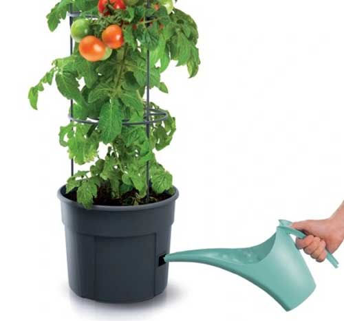 уникална-саксия-за-отглеждане-на-домати