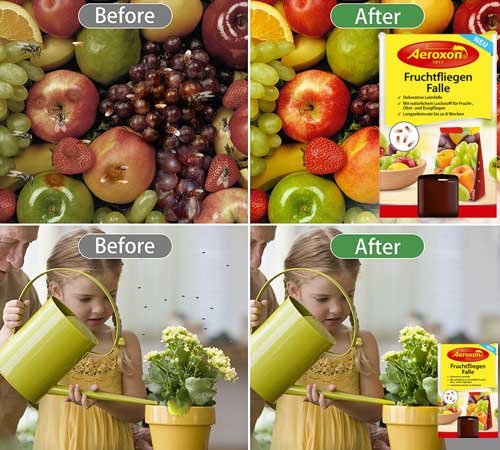 уникален ловец на плодови мушици