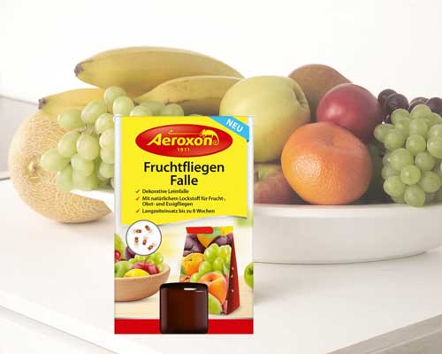 уникален ловец на плодови мушици