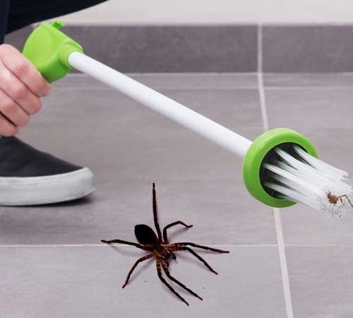 индивидуален ловец на паяци