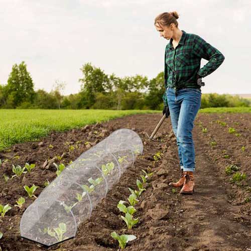 на практика мини фолиовник