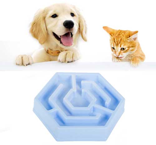 куче-и-котка-купа