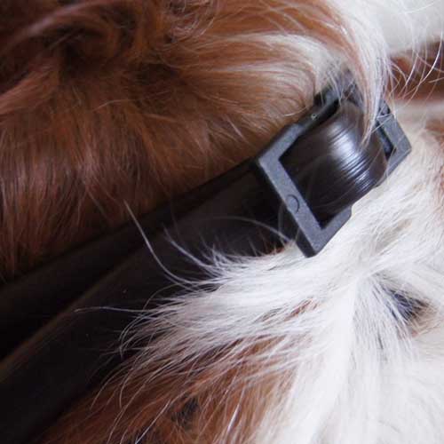 unique-anti-tick-collar