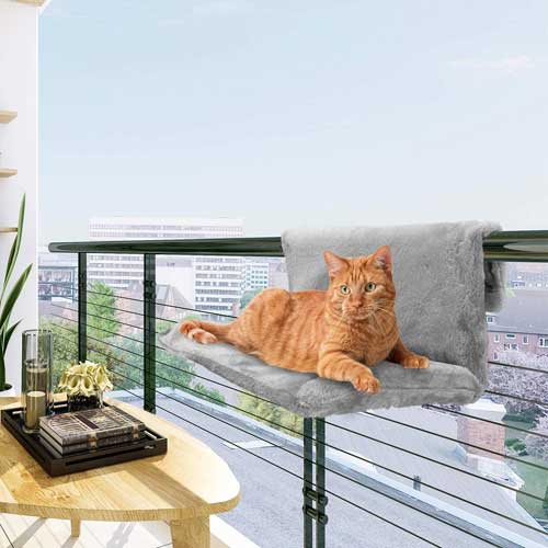 легло за котки