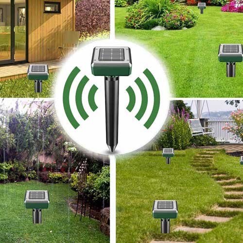 качествен репелент против къртици