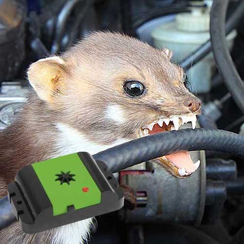 уникален-пластмасов-кун