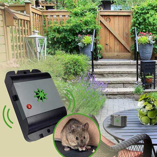 професионален външен репелент за мишки