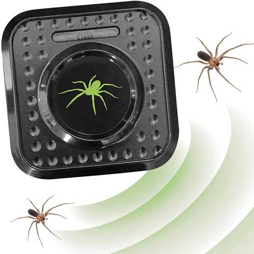 професионален репелент срещу паяци