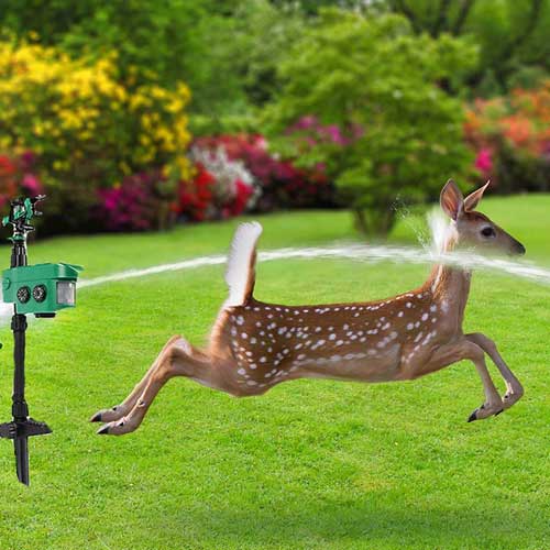 отблъскващ-диви животни