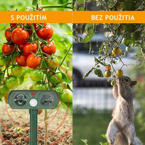 професионален-репелент-за-котки