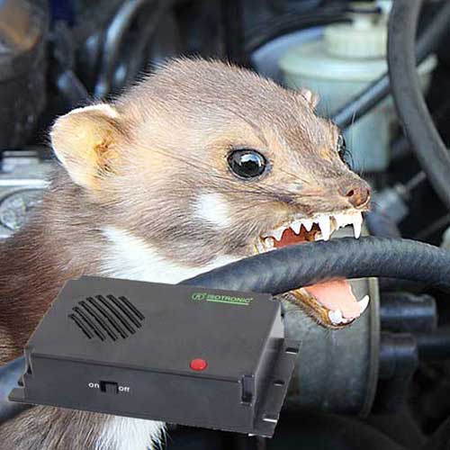 професионален-репелент-кун