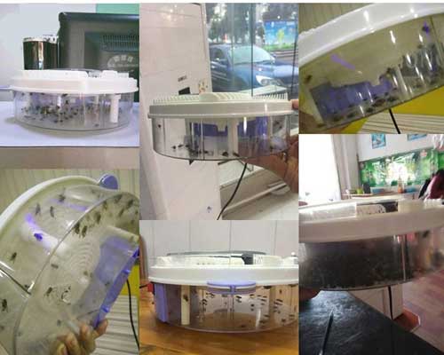 електрически капан за мухи