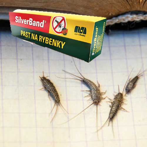 залепваща-лента-за-риба-риба---svehly