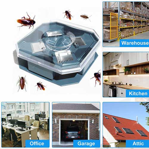 сватбен капан без химикали