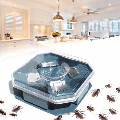 сватбен капан без химикали