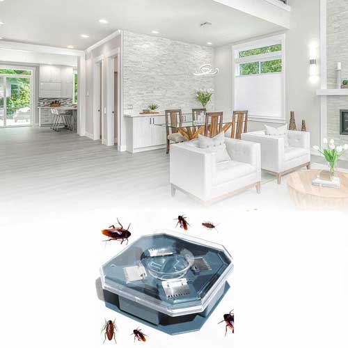 сватбен капан без химикали