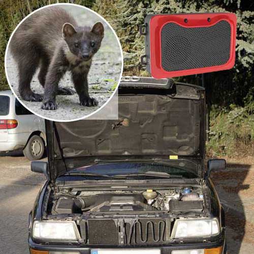 уникален-пластмасов-кун