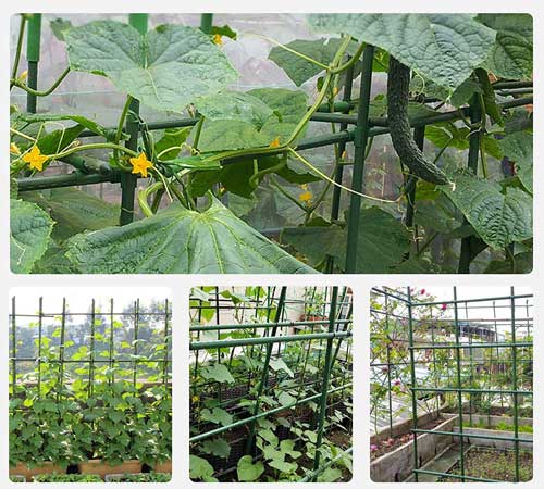 опора за растения